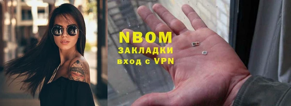 прущий лед Алзамай