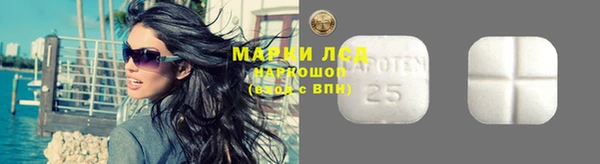прущий лед Алзамай