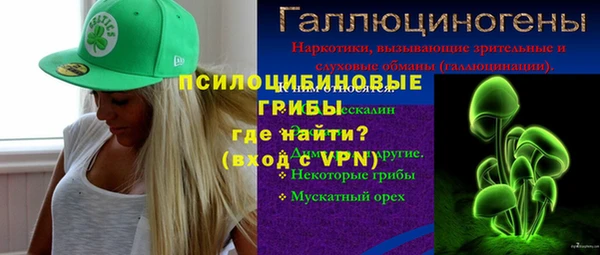 прущий лед Алзамай