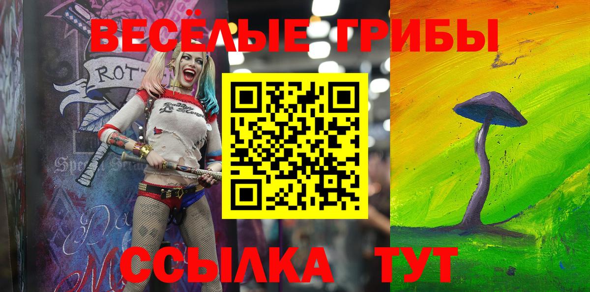 Галлюциногенные грибы Cubensis Киреевск