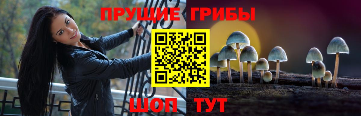 Псилоцибиновые грибы MAGIC MUSHROOMS  Вход с VPN  хочу   Киреевск 